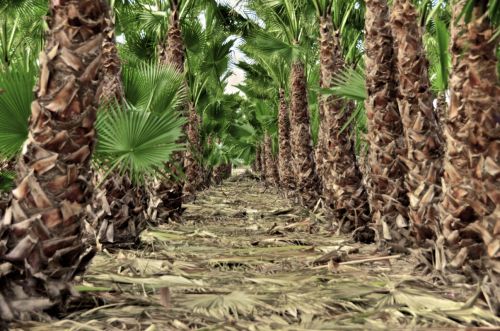 Fotografia de muletas - Galeria Fotografica: Naciendo - Foto: Pasillo2