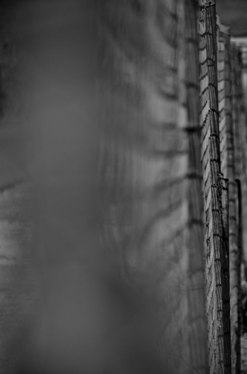 Fotografia de muletas - Galeria Fotografica: Naciendo - Foto: Valla