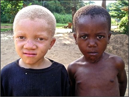 Fotografia de madridphoto - Galeria Fotografica: CAMERN - Foto: 