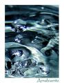 Fotos de Arnabiarritz -  Foto: Gotas de agua - Gota de agua 2