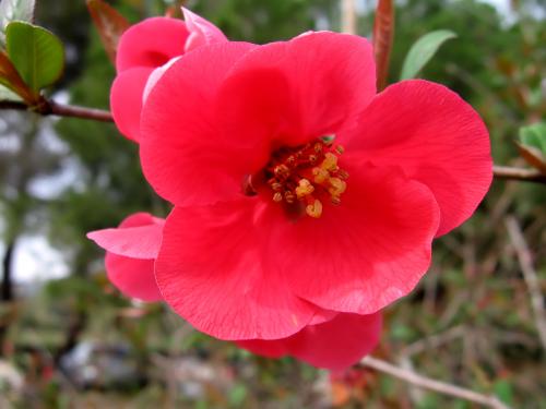 Fotografia de Montse Baiges - Galeria Fotografica: Detalles - Foto: Primavera