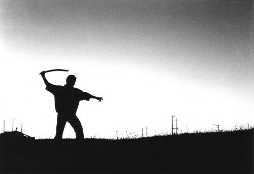 Fotografia de Sebastin - Galeria Fotografica: Mar del Sur Viejas - Foto: Sin Ttulo