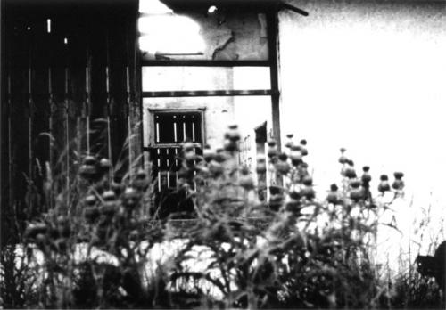 Fotografia de Sebastin - Galeria Fotografica: Mar del Sur Viejas - Foto: Abandono