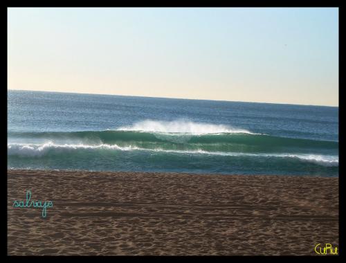 Fotografia de Anna - Galeria Fotografica: Paisajeland - Foto: salvaje