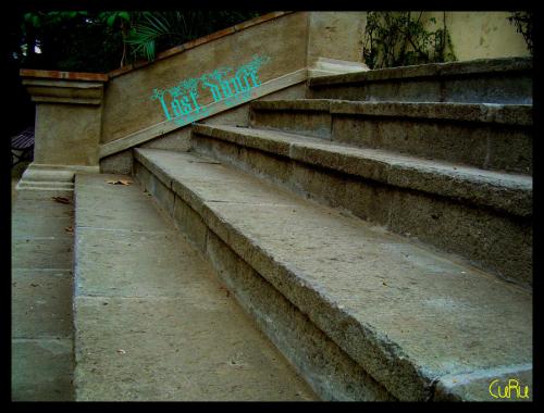 Fotografia de Anna - Galeria Fotografica: Miscel�nea - Foto: �ltimo baile