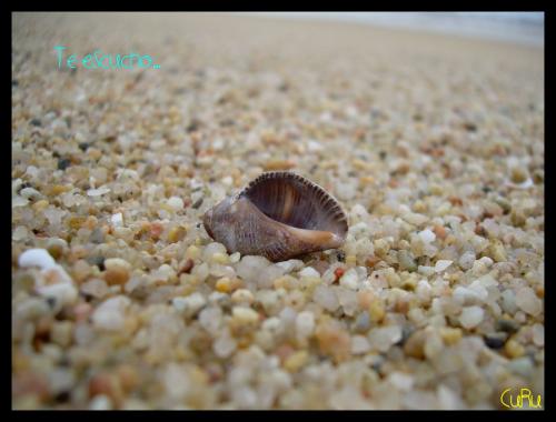 Fotografia de Anna - Galeria Fotografica: Miscelnea - Foto: Te escucho...