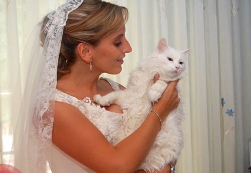 Fotografia de Tandem photo - Galeria Fotografica: boda - Foto: 