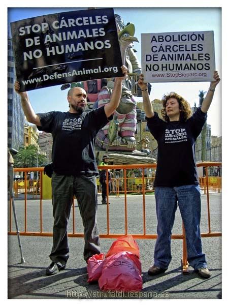 Fotografia de strufaldi - Galeria Fotografica: Mis... - Foto: VALOR DEFENSANIMAL