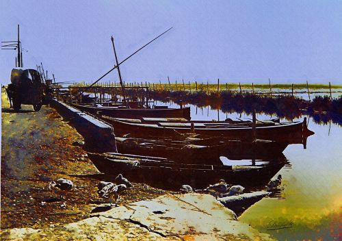 Fotografia de strufaldi - Galeria Fotografica: Mis... - Foto: LA ALBUFERA