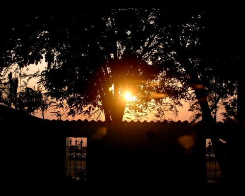 Fotografia de JACG - Galeria Fotografica: Fotografia Libre - Foto: 