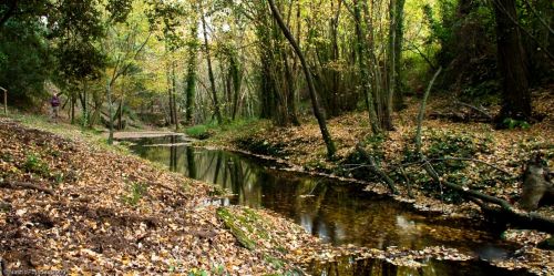 Fotografia de PUJADES.NET - Galeria Fotografica: Tardor a la riera de Canet - Foto: Riera de Canet