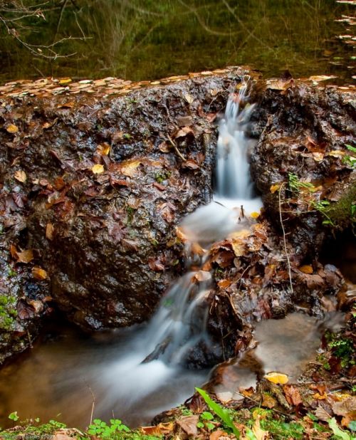 Fotografia de PUJADES.NET - Galeria Fotografica: Tardor a la riera de Canet - Foto: Riera de Canet