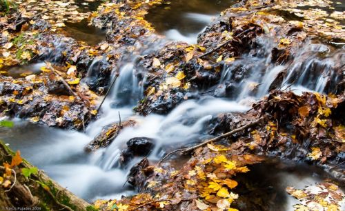 Fotografia de PUJADES.NET - Galeria Fotografica: Tardor a la riera de Canet - Foto: Riera de Canet