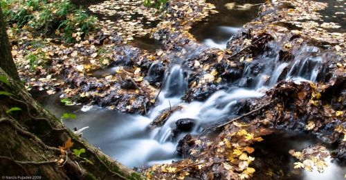 Fotografia de PUJADES.NET - Galeria Fotografica: Tardor a la riera de Canet - Foto: Riera de Canet