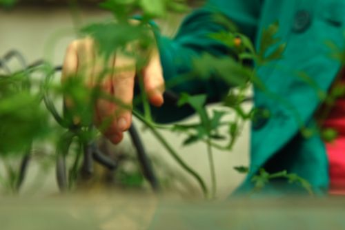 Fotografia de cosmonauta - Galeria Fotografica: Presentacin - Foto: 