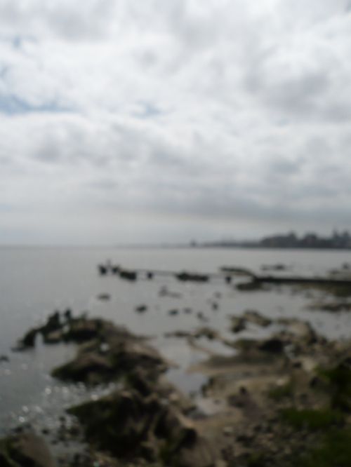 Fotografia de javier   - Galeria Fotografica: montevideo - Foto: 