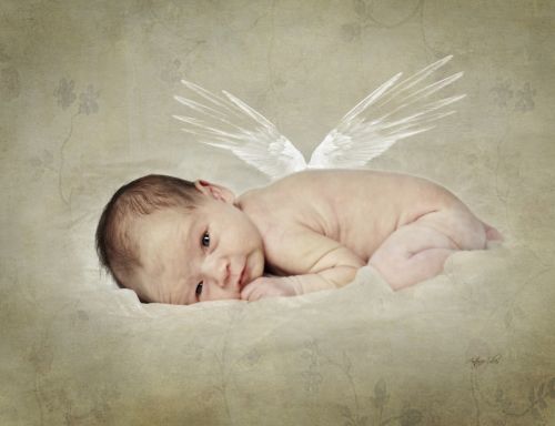 Fotografia de Antonio Siles, Fot�grafo - Galeria Fotografica: Estudio - Foto: 