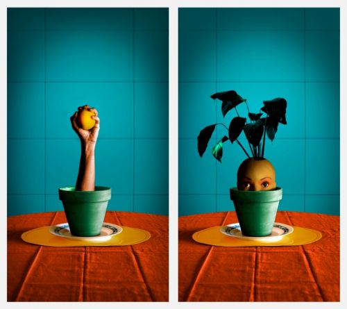 Fotografia de FranCndor - Galeria Fotografica: Fotos varias - Foto: 