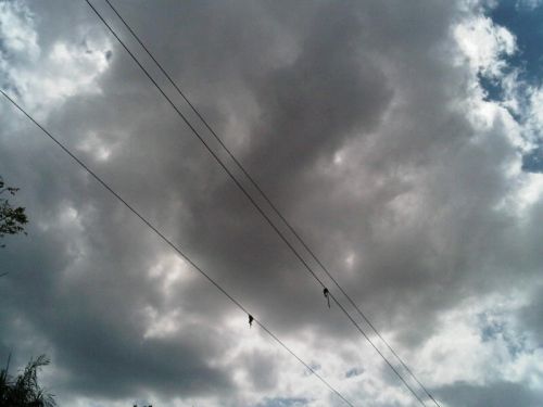 Fotografia de Xena - Galeria Fotografica: Mix - Foto: 