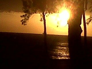 Fotografia de Xena - Galeria Fotografica: Mix - Foto: 