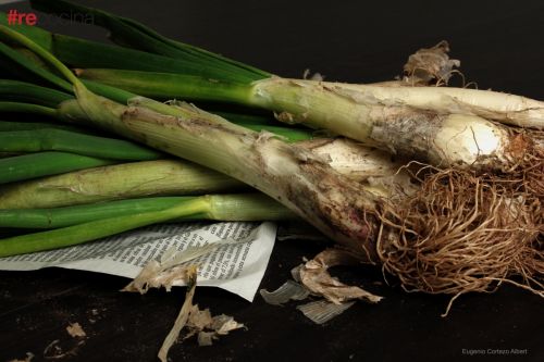 Fotografia de Eugenio Cortezo Albert - Galeria Fotografica: #recocina - Foto: #recocina