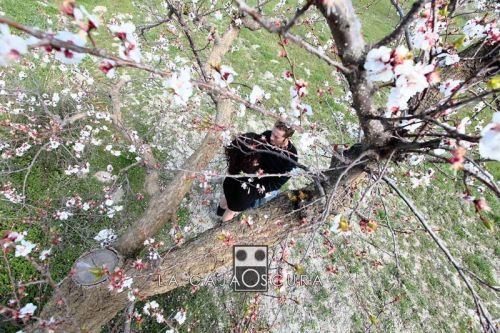 Fotografia de La caja oscura - Galeria Fotografica: Bodas 2012 - Foto: 