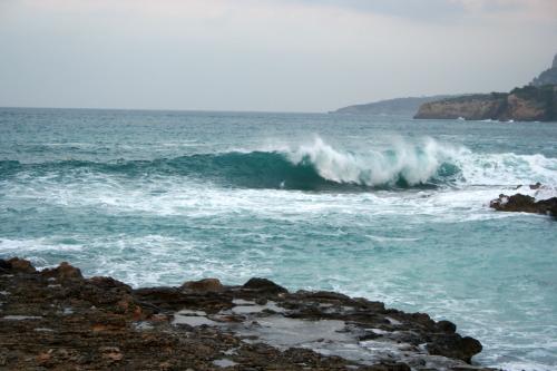 Fotografia de treslilas - Galeria Fotografica: azules - Foto: mira 2