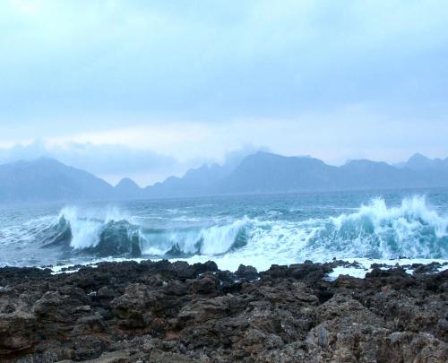 Fotografia de treslilas - Galeria Fotografica: azules - Foto: mira 3