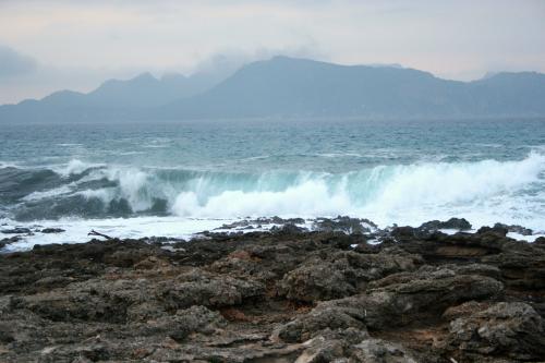 Fotografia de treslilas - Galeria Fotografica: azules - Foto: mira 4