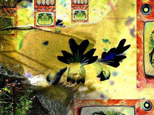 Fotografia de artammon - Galeria Fotografica: tuberias - Foto: 