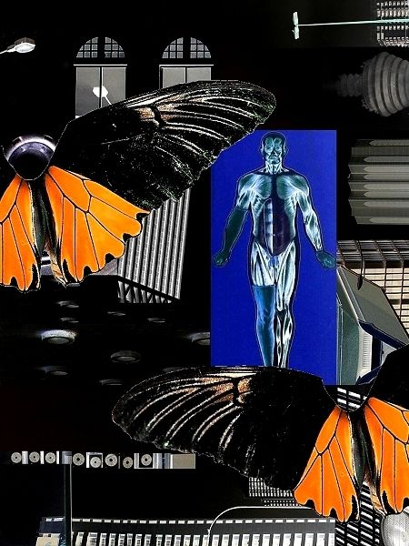 Fotografia de artammon - Galeria Fotografica: hombre en construccion - Foto: 