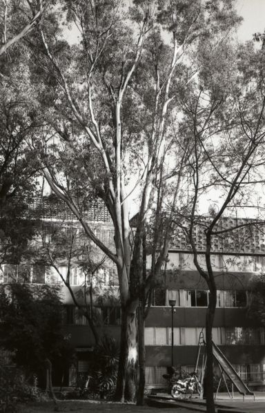 Fotografia de sergio - Galeria Fotografica: Paisaje - Foto: 