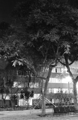 Fotografia de sergio - Galeria Fotografica: Paisaje - Foto: 