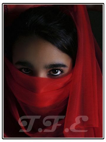 Fotografia de Taller Fotografico Edel - Galeria Fotografica: tomas para books fotograficos - Foto: 