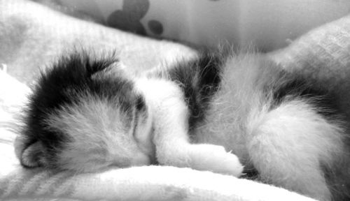 Fotografia de rocio - Galeria Fotografica: mila - Foto: 