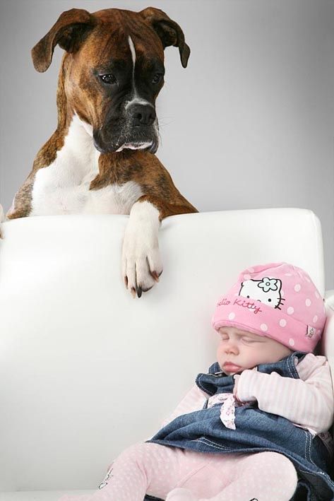 Fotografia de SUBLIM estudio fotografico - Galeria Fotografica: reportajes  - Foto: 