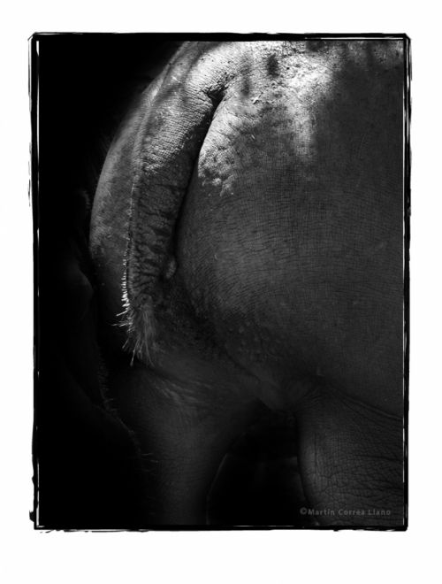 Fotografia de Martin Fotographer - Galeria Fotografica: Se parece a alguien que conozco - Foto: 