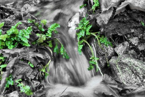 Fotografia de rocio - Galeria Fotografica: atardecer - Foto: 