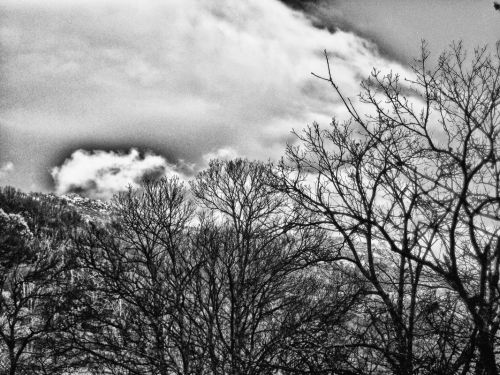 Fotografia de rocio - Galeria Fotografica: atardecer - Foto: 