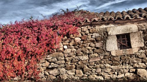 Fotografia de rocio - Galeria Fotografica: atardecer - Foto: 