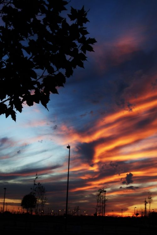 Fotografia de rocio - Galeria Fotografica: atardecer - Foto: 