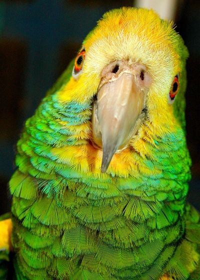 Fotografia de Maxalv63 - Galeria Fotografica: Primera Muestra - Foto: Lorenzo