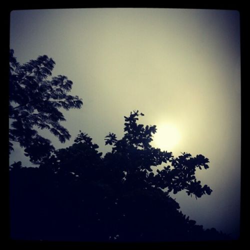 Fotografia de guillermo lopez - Galeria Fotografica: un poco de todo  - Foto: tarde