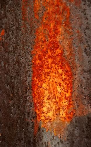 Fotografia de Trebla - Galeria Fotografica: Formas de mirar... - Foto: xidos