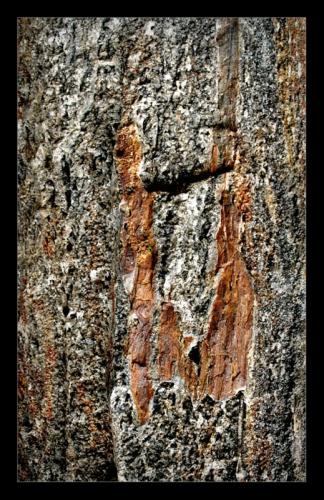 Fotografia de Trebla - Galeria Fotografica: Formas de mirar... - Foto: minerales