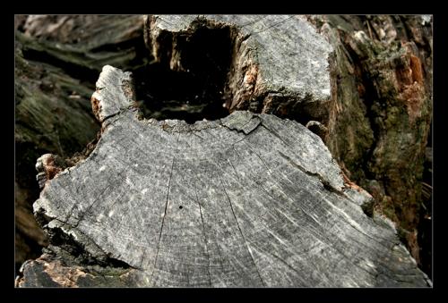 Fotografia de Trebla - Galeria Fotografica: Formas de mirar... - Foto: lbor cado