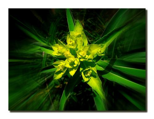 Fotografia de tomaneg - Galeria Fotografica: efectos - Foto: vertigo