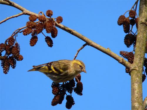 Fotografia de alg - Galeria Fotografica: Naturaleza 3 - Foto: LUGANO