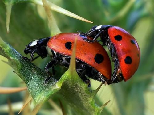 Fotografia de alg - Galeria Fotografica: Naturaleza 3 - Foto: MARIQUITAS