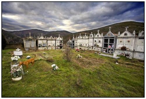 Fotografia de Joan Mercadal - Galeria Fotografica: Galicia rural - Foto: Galicia rural